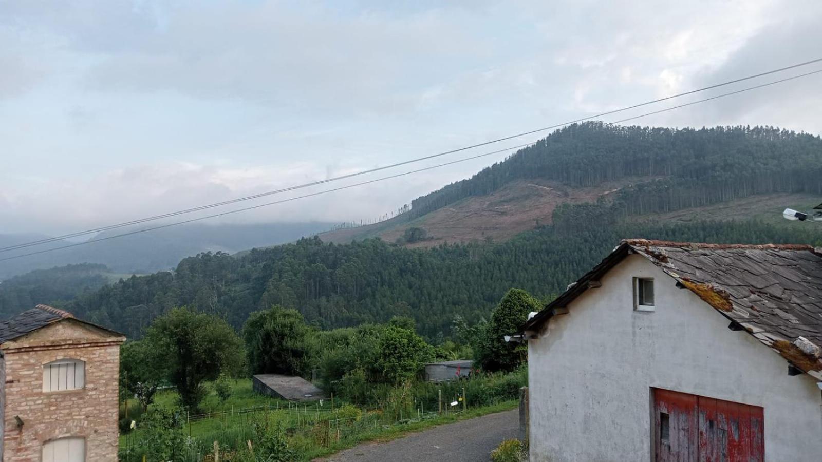 Apartamentos Minas De Silvarosa Viveiro Exteriör bild